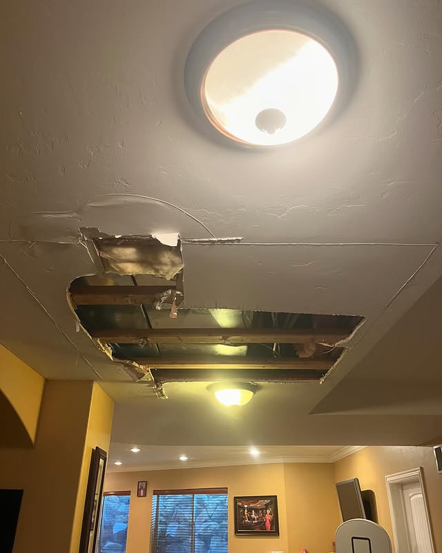 Painting project Utah